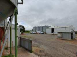 Real estate listing photo - Photo of piggery from a 2015 real estate listing (https://www.realestate.com.au/sold/property-livestock-sa-eudunda-7679119). - Captured at Brownlow Piggery - Breeder Site, Brownlow SA Australia.