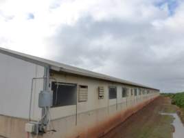 Real estate listing photo - Photo of piggery from a 2015 real estate listing (https://www.realestate.com.au/sold/property-livestock-sa-eudunda-7679119). - Captured at Brownlow Piggery - Breeder Site, Brownlow SA Australia.