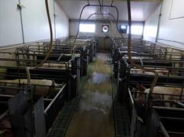 Real estate listing photo - Photo of piggery from a 2015 real estate listing (https://www.realestate.com.au/sold/property-livestock-sa-eudunda-7679119). - Captured at Brownlow Piggery - Breeder Site, Brownlow SA Australia.