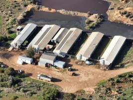 Drone flyover of piggery - Captured at Andgar Piggery, Dublin SA Australia.