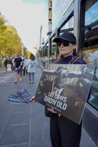 Mother's Day: Dominion Outreach Melbourne: 11 May 2025 - Animal rights activists participating in a street outreach event in Southbank, Victoria, Australia. Volunteers give out free vegan treats, show footage from Farm Transparency Project's dairy investigations, and engage the public in conversations, bringing awareness to the hidden reality of what happens to cows, calves, and bulls in the Australian dairy industry. - Captured at VIC.