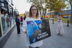 Mother's Day: Dominion Outreach Melbourne: 11 May 2025 - Animal rights activists participating in a street outreach event in Southbank, Victoria, Australia. Volunteers give out free vegan treats, show footage from Farm Transparency Project's dairy investigations, and engage the public in conversations, bringing awareness to the hidden reality of what happens to cows, calves, and bulls in the Australian dairy industry. - Captured at VIC.
