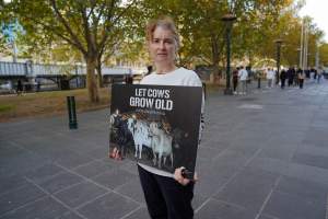 Mother's Day: Dominion Outreach Melbourne: 11 May 2025 - Animal rights activists participating in a street outreach event in Southbank, Victoria, Australia. Volunteers give out free vegan treats, show footage from Farm Transparency Project's dairy investigations, and engage the public in conversations, bringing awareness to the hidden reality of what happens to cows, calves, and bulls in the Australian dairy industry. - Captured at VIC.