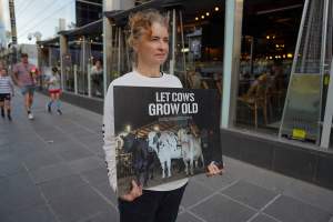 Mother's Day: Dominion Outreach Melbourne: 11 May 2025 - Animal rights activists participating in a street outreach event in Southbank, Victoria, Australia. Volunteers give out free vegan treats, show footage from Farm Transparency Project's dairy investigations, and engage the public in conversations, bringing awareness to the hidden reality of what happens to cows, calves, and bulls in the Australian dairy industry. - Captured at VIC.