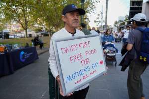 Mother's Day: Dominion Outreach Melbourne: 11 May 2025 - Animal rights activists participating in a street outreach event in Southbank, Victoria, Australia. Volunteers give out free vegan treats, show footage from Farm Transparency Project's dairy investigations, and engage the public in conversations, bringing awareness to the hidden reality of what happens to cows, calves, and bulls in the Australian dairy industry. - Captured at VIC.