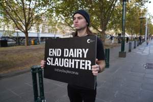 Mother's Day: Dominion Outreach Melbourne: 11 May 2025 - Animal rights activists participating in a street outreach event in Southbank, Victoria, Australia. Volunteers give out free vegan treats, show footage from Farm Transparency Project's dairy investigations, and engage the public in conversations, bringing awareness to the hidden reality of what happens to cows, calves, and bulls in the Australian dairy industry. - Captured at VIC.