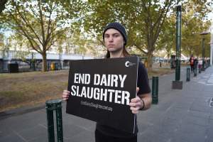 Mother's Day: Dominion Outreach Melbourne: 11 May 2025 - Animal rights activists participating in a street outreach event in Southbank, Victoria, Australia. Volunteers give out free vegan treats, show footage from Farm Transparency Project's dairy investigations, and engage the public in conversations, bringing awareness to the hidden reality of what happens to cows, calves, and bulls in the Australian dairy industry. - Captured at VIC.