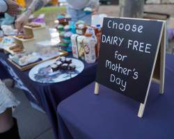 Mother's Day: Dominion Outreach Melbourne: 11 May 2025 - Animal rights activists participating in a street outreach event in Southbank, Victoria, Australia. Volunteers give out free vegan treats, show footage from Farm Transparency Project's dairy investigations, and engage the public in conversations, bringing awareness to the hidden reality of what happens to cows, calves, and bulls in the Australian dairy industry. - Captured at VIC.