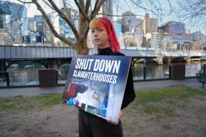 3 August 2025: Dominion Outreach Melbourne: Shut Down Slaughterhouses - Animal rights activists participating in a street outreach event in Southbank, Naarm/Melbourne. Some wear TVs showing footage from Farm Transparency Project's slaughterhouse investigations as part of the Shut Down Slaughterhouses campaign. Others hold placards or engage the public in conversations. Together, they bring awareness to the hidden reality of what happens to animals inside slaughterhouses. - Captured at VIC.