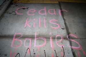 Cedar Meats Vigil - National Week Of Action 2025 - During the Shut Down Slaughterhouses Week of Action, we held a vigil outside of the Cedar Meats slaughterhouse in Brooklyn, Victoria.
During a two week investigation last year, our hidden cameras captured the handling and slaughter of animals, including newborn lambs and kids born in the holding pens of the slaughterhouse.
It was a Wednesday night when we gathered outside the slaughterhouse, holding signs and listening to music and speeches from investigators. We wanted to send a message to Cedar Meats, to let them know that we have not forgotten how they treat animals when they believe that no one is watching
We poured fake blood across their driveway as a visual reminder to everyone passing by, that animals arriving here are coming to their deaths. At the gates to the slaughterhouse, we each left a flower.
The images of animals whose deaths we have seen will haunt us forever, but we are determined to continue to fight in their name. - Captured at Cedar Meats, Brooklyn VIC Australia.