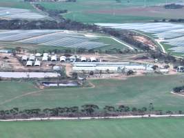 Drone - 2025 - Photos from a drone flyover of Finniss Park Piggery. - Captured at Finniss Park Piggery, Mannum SA Australia.