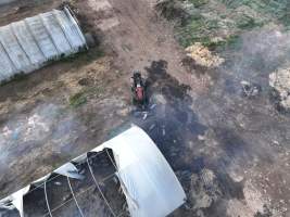 Pigs burned alive in shed fires - Drone imagery of a large number of dead pigs in eco sheds, after the sheds caught alight on 15 September 2025. - Captured at Andgar Piggery, Dublin SA Australia.