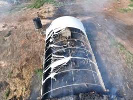 Pigs burned alive in shed fires - Drone imagery of a large number of dead pigs in eco sheds, after the sheds caught alight on 15 September 2025. - Captured at Andgar Piggery, Dublin SA Australia.