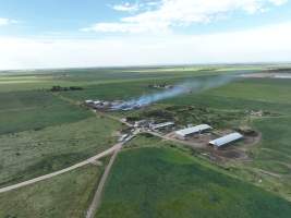 Pigs burned alive in shed fires - Drone imagery of a large number of dead pigs in eco sheds, after the sheds caught alight on 15 September 2025. - Captured at Andgar Piggery, Dublin SA Australia.