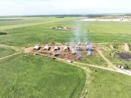 Pigs burned alive in shed fires - Drone imagery of a large number of dead pigs in eco sheds, after the sheds caught alight on 15 September 2025. - Captured at Andgar Piggery, Dublin SA Australia.