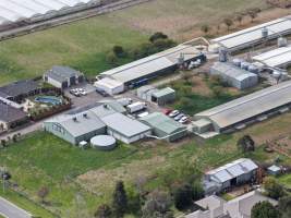 Captured at South Gippsland Eggs, Devon Meadows VIC Australia.