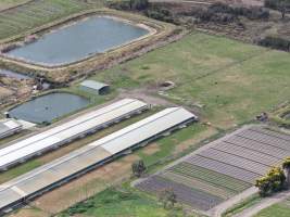 Captured at South Gippsland Eggs, Devon Meadows VIC Australia.