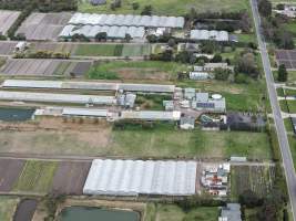 Captured at South Gippsland Eggs, Devon Meadows VIC Australia.