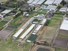 Captured at South Gippsland Eggs, Devon Meadows VIC Australia.
