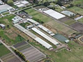 Captured at South Gippsland Eggs, Devon Meadows VIC Australia.