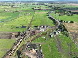 NSW Dairy Farms 2025 - Drone footage of Dairy farms and calf crates on NSW's South Coast. - Captured at Coolea, Numbaa NSW Australia.