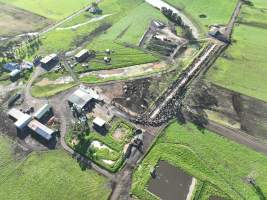 NSW Dairy Farms 2025 - Drone footage of Dairy farms and calf crates on NSW's South Coast. - Captured at Coolea, Numbaa NSW Australia.