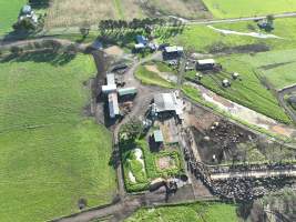 NSW Dairy Farms 2025 - Drone footage of Dairy farms and calf crates on NSW's South Coast. - Captured at Coolea, Numbaa NSW Australia.