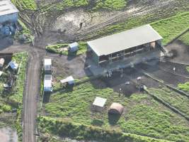 NSW Dairy Farms 2025 - Drone footage of Dairy farms and calf crates on NSW's South Coast. - Captured at Coolea, Numbaa NSW Australia.