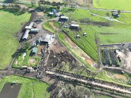 NSW Dairy Farms 2025 - Drone footage of Dairy farms and calf crates on NSW's South Coast. - Captured at Coolea, Numbaa NSW Australia.