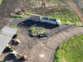 NSW Dairy Farms 2025 - Drone footage of Dairy farms and calf crates on NSW's South Coast. - Captured at Coolea, Numbaa NSW Australia.