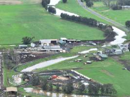 NSW Dairy Farms 2025 - Drone footage of Dairy farms and calf crates on NSW's South Coast. - Captured at Coolea, Numbaa NSW Australia.