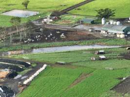 NSW Dairy Farms 2025 - Drone footage of Dairy farms and calf crates on NSW's South Coast. - Captured at Coolea, Numbaa NSW Australia.