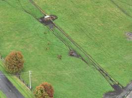 NSW Dairy Farms 2025 - Footage of dairy farms and calf crates on NSW's South Coast. - Captured at Riverlane Dairy, Numbaa NSW Australia.