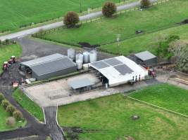 NSW Dairy Farms 2025 - Footage of dairy farms and calf crates on NSW's South Coast. - Captured at Riverlane Dairy, Numbaa NSW Australia.