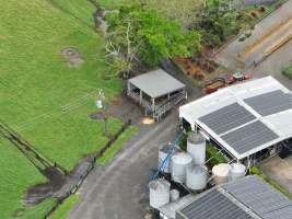 NSW Dairy Farms 2025 - Footage of dairy farms and calf crates on NSW's South Coast. - Captured at Riverlane Dairy, Numbaa NSW Australia.