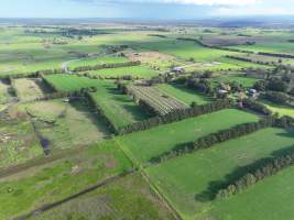 NSW Dairy Calf Crates - 2025 - Drone photos of calf crates at dairies on NSW's South Coast. - Captured at Unknown - Dairy Calf Crates, Numbaa NSW Australia.