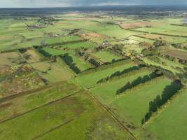 NSW Dairy Calf Crates - 2025 - Drone photos of calf crates at dairies on NSW's South Coast. - Captured at Unknown - Dairy Calf Crates, Numbaa NSW Australia.