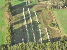 NSW Dairy Calf Crates - 2025 - Drone photos of calf crates at dairies on NSW's South Coast. - Captured at Unknown - Dairy Calf Crates, Numbaa NSW Australia.
