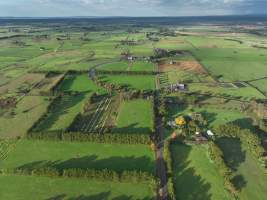 NSW Dairy Calf Crates - 2025 - Drone photos of calf crates at dairies on NSW's South Coast. - Captured at Unknown - Dairy Calf Crates, Numbaa NSW Australia.