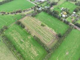 NSW Dairy Calf Crates - 2025 - Drone photos of calf crates at dairies on NSW's South Coast. - Captured at Unknown - Dairy Calf Crates, Numbaa NSW Australia.