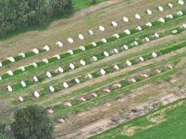 NSW Dairy Calf Crates - 2025 - Drone photos of calf crates at dairies on NSW's South Coast. - Captured at Unknown - Dairy Calf Crates, Numbaa NSW Australia.