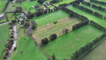 NSW Dairy Calf Crates - 2025 - Drone photos of calf crates at dairies on NSW's South Coast. - Captured at Unknown - Dairy Calf Crates, Numbaa NSW Australia.