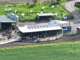 NSW Dairy farm and calf crates - 2025 - A drone investigation of dairy farms and calf crates on NSW's South Coast. - Captured at Unknown Dairy Crates, Terara NSW Australia.