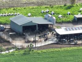 NSW Dairy farm and calf crates - 2025 - A drone investigation of dairy farms and calf crates on NSW's South Coast. - Captured at Unknown Dairy Crates, Terara NSW Australia.