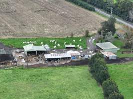 NSW Dairy farm and calf crates - 2025 - A drone investigation of dairy farms and calf crates on NSW's South Coast. - Captured at Unknown Dairy Crates, Terara NSW Australia.