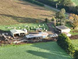 NSW Dairy farm and calf crates - 2025 - A drone investigation of dairy farms and calf crates on NSW's South Coast. - Captured at Unknown Dairy Crates, Terara NSW Australia.