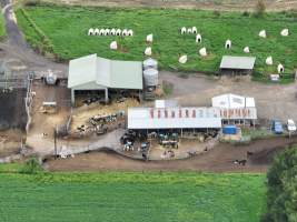 NSW Dairy farm and calf crates - 2025 - A drone investigation of dairy farms and calf crates on NSW's South Coast. - Captured at Unknown Dairy Crates, Terara NSW Australia.