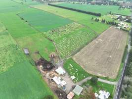 NSW Dairy farm and calf crates - 2025 - A drone investigation of dairy farms and calf crates on NSW's South Coast. - Captured at Unknown Dairy Crates, Terara NSW Australia.