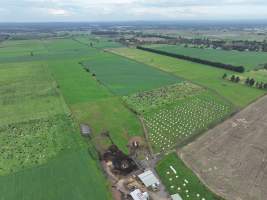 NSW Dairy farm and calf crates - 2025 - A drone investigation of dairy farms and calf crates on NSW's South Coast. - Captured at Unknown Dairy Crates, Terara NSW Australia.
