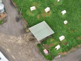 NSW Dairy farm and calf crates - 2025 - A drone investigation of dairy farms and calf crates on NSW's South Coast. - Captured at Unknown Dairy Crates, Terara NSW Australia.